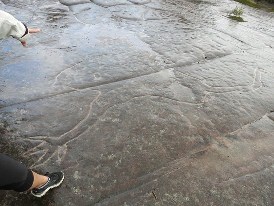 Elvina Track Aboriginal Engraving Site