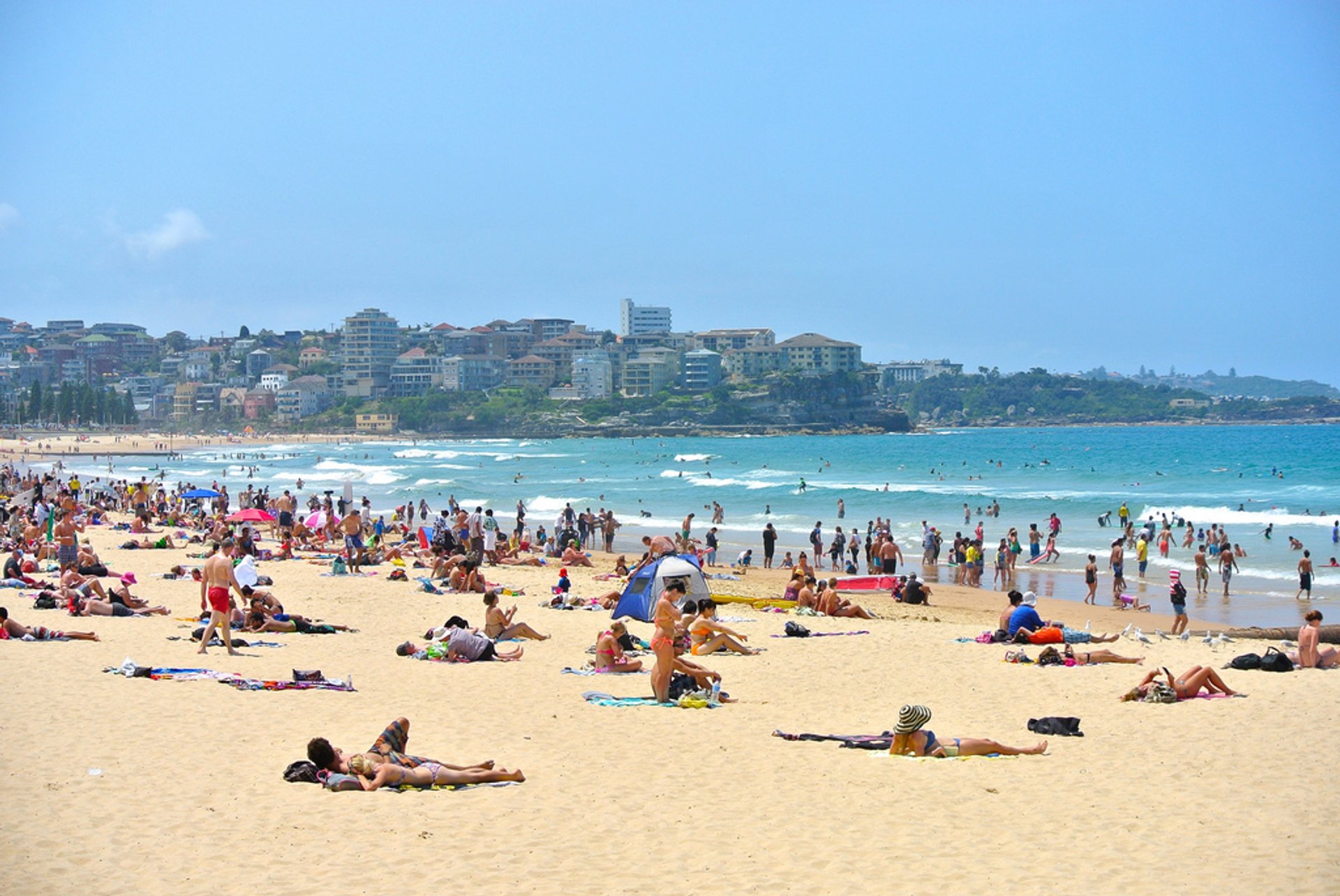North Steyne Beach