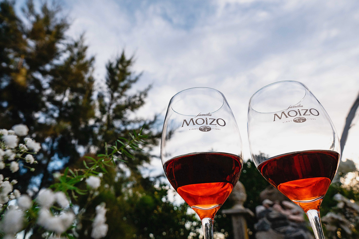 Bodega Familia Moizo