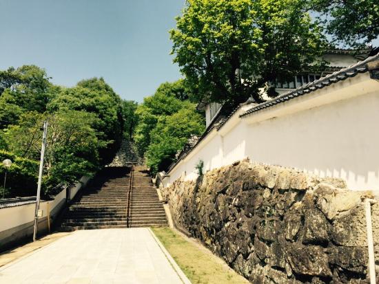 Tsuyama Nature & Mystery Museum