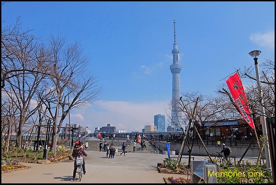 Tower View Street