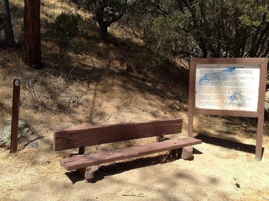 Coso Mine Loop Trail