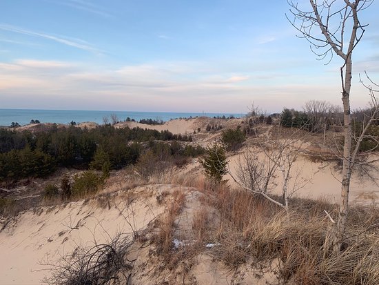 Dune Succession Trail