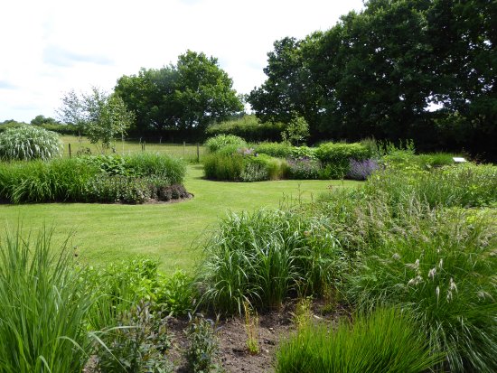 Hoecroft Plants and Gardens