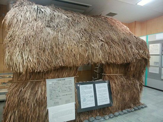 Ogasawara Visitor Center