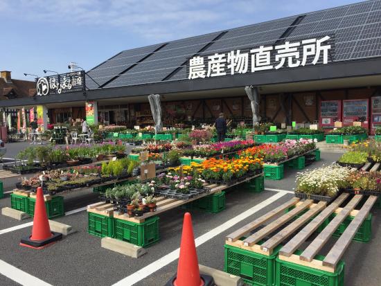 Michi-no-Eki Rosemary Garden