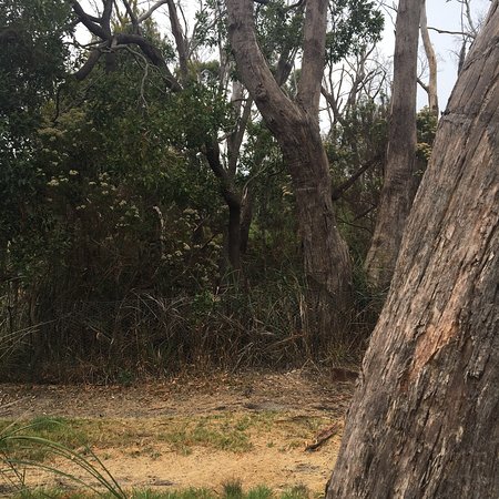 Moorooduc Quarry Flora And Fauna Reserve