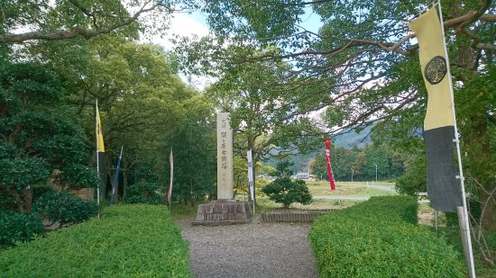 Outdoor Pictures 1