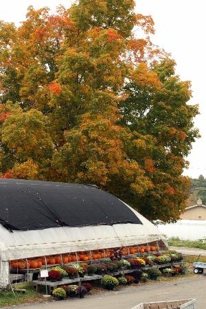 Snell Family Farm