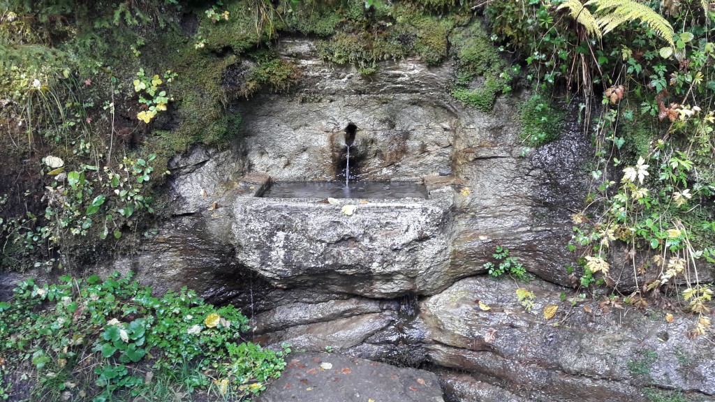 Le Chemin des Fontaines des Bois du Jorat