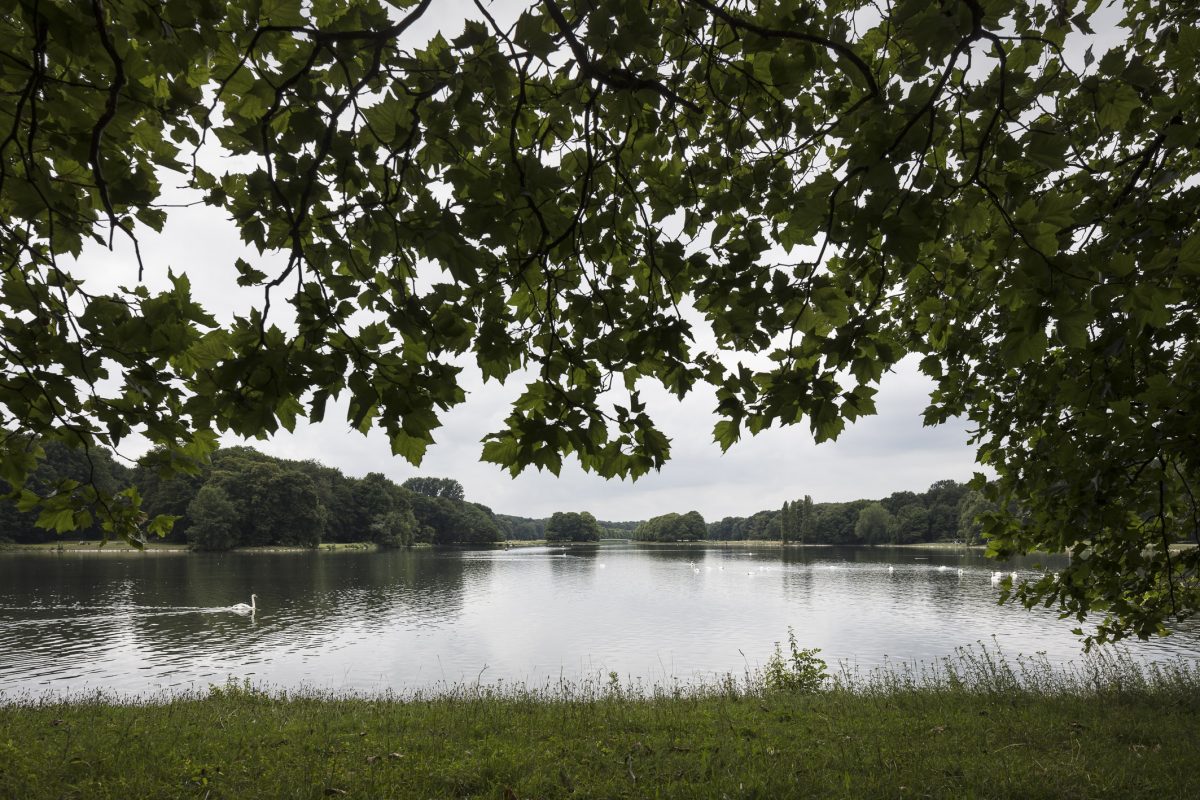 Decksteiner Weiher