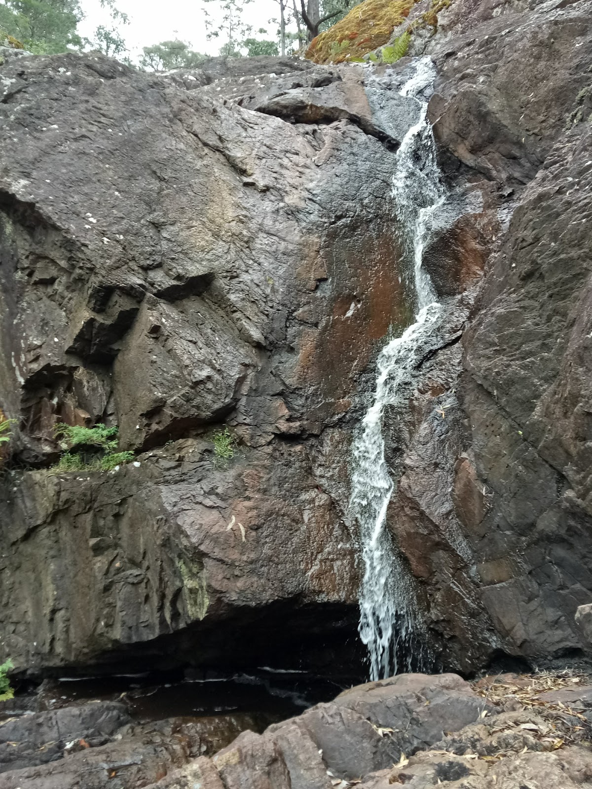 Youngs Creek Falls