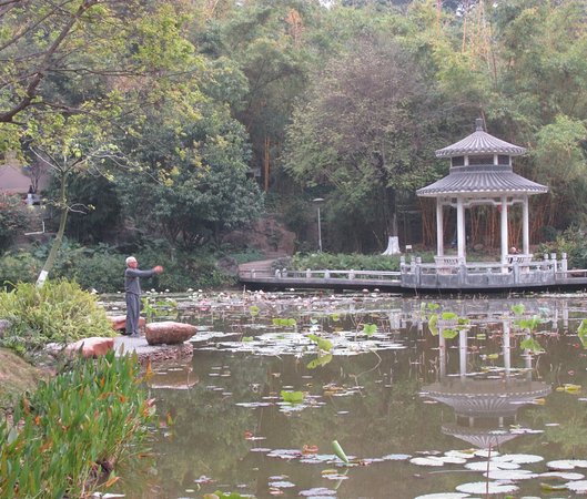 Dongguan People's Park