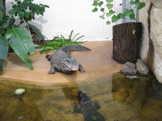 Zoo Vivarium Darmstadt