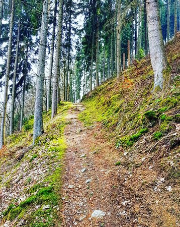 Circular Walk Clervaux