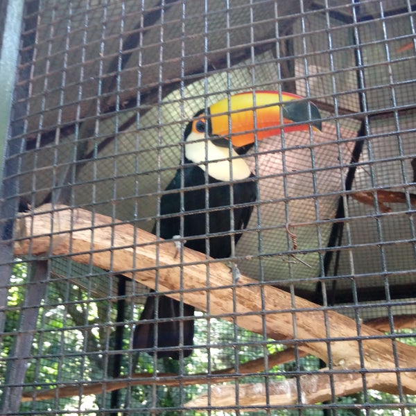 Jardin De Los Pajaros