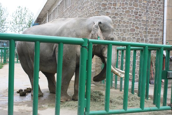 Zhengzhou Zoo
