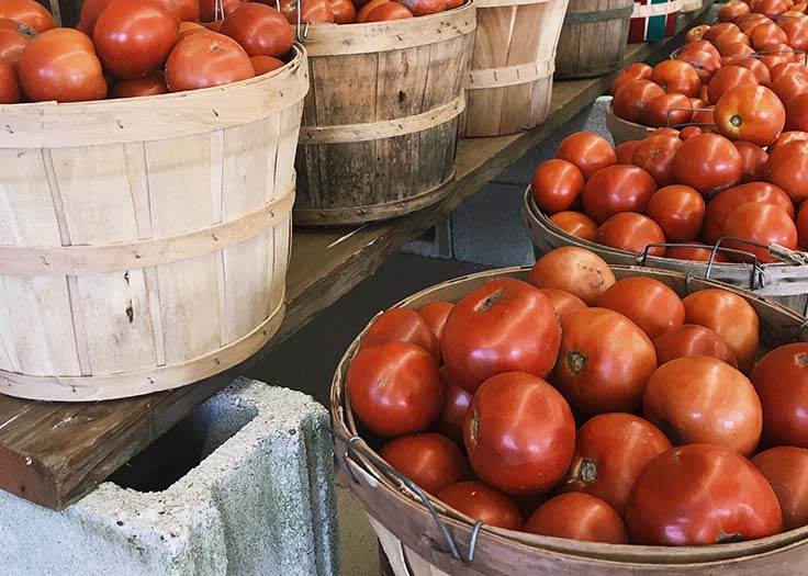 Johnson's Farm Produce