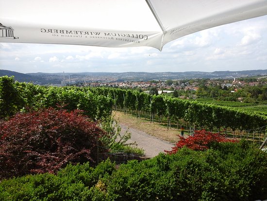 Collegium Wirtemberg