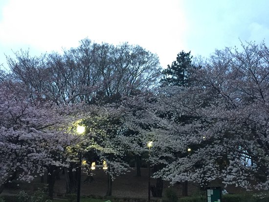 Soshigaya Park