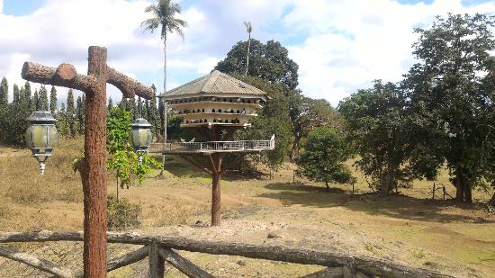 Bluroze Farms