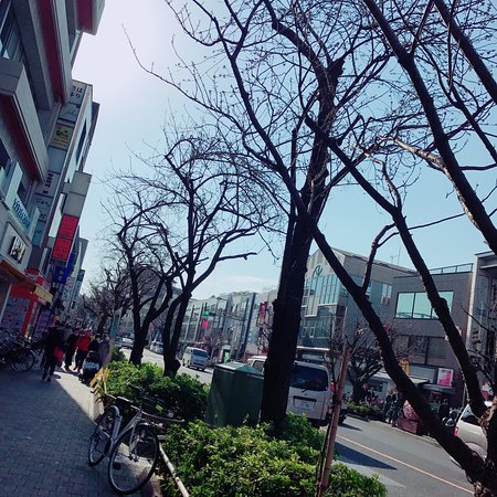 Sakurashinmachi Shopping Street