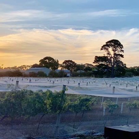 Bennetts on Bellarine