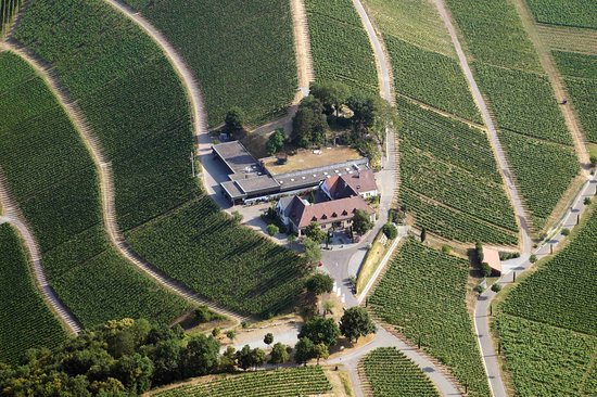 Staatsweingut Freiburg