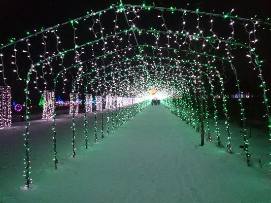 Lake Haruna Illumination Festa