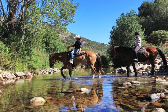 Ferme Equestre Le Ranch