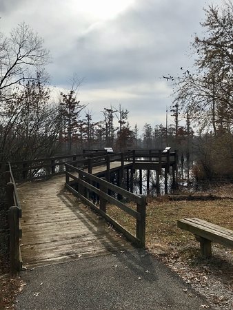 Cypress Creek National Wildlife Refuge