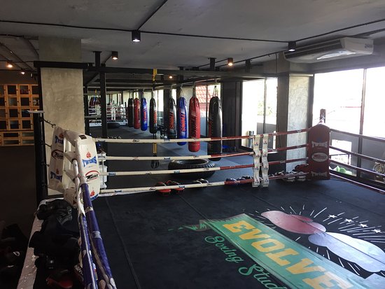 Evolve Boxing Studio