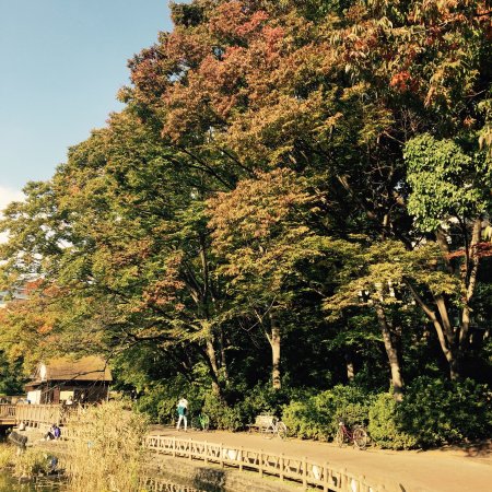 Mitsugi Park