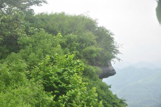 Outdoor Pictures 1