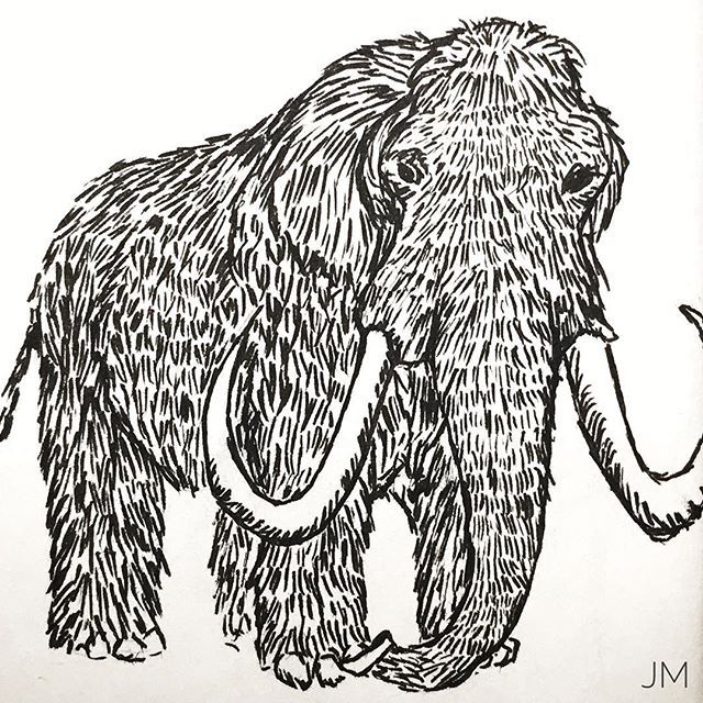 Woolly Mammoth