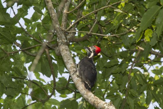 Provincial Urugua-í Park