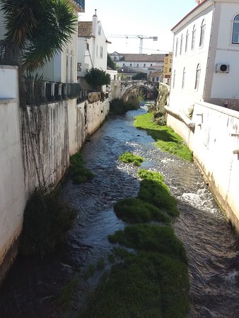 Jardim do Amor