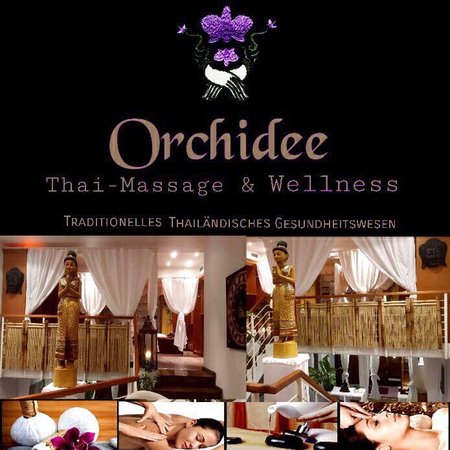 Orchidee Thaimassage & Wellness