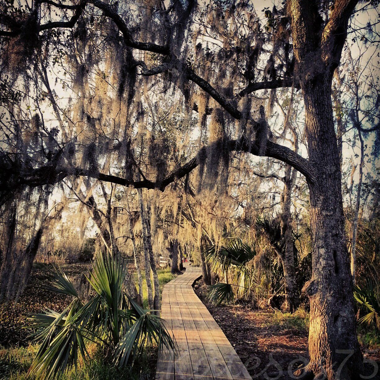 Jean Lafitte National Historical Park and Preserve