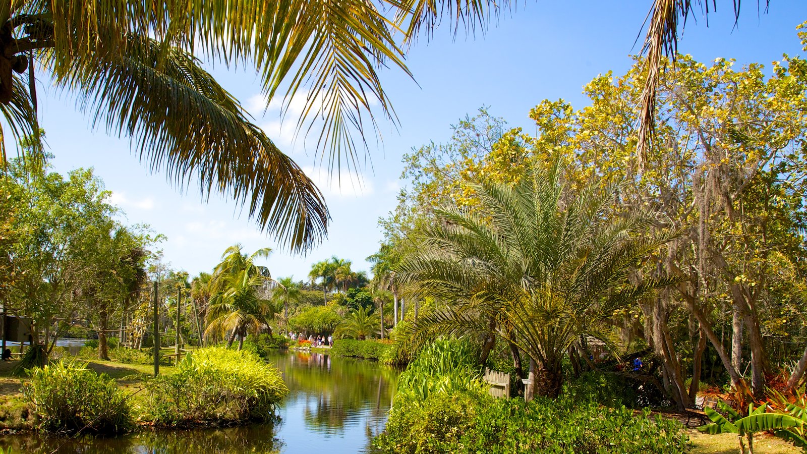 Naples Zoo at Caribbean Gardens