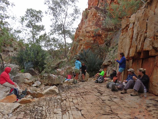 Larapinta Trail Trek Support