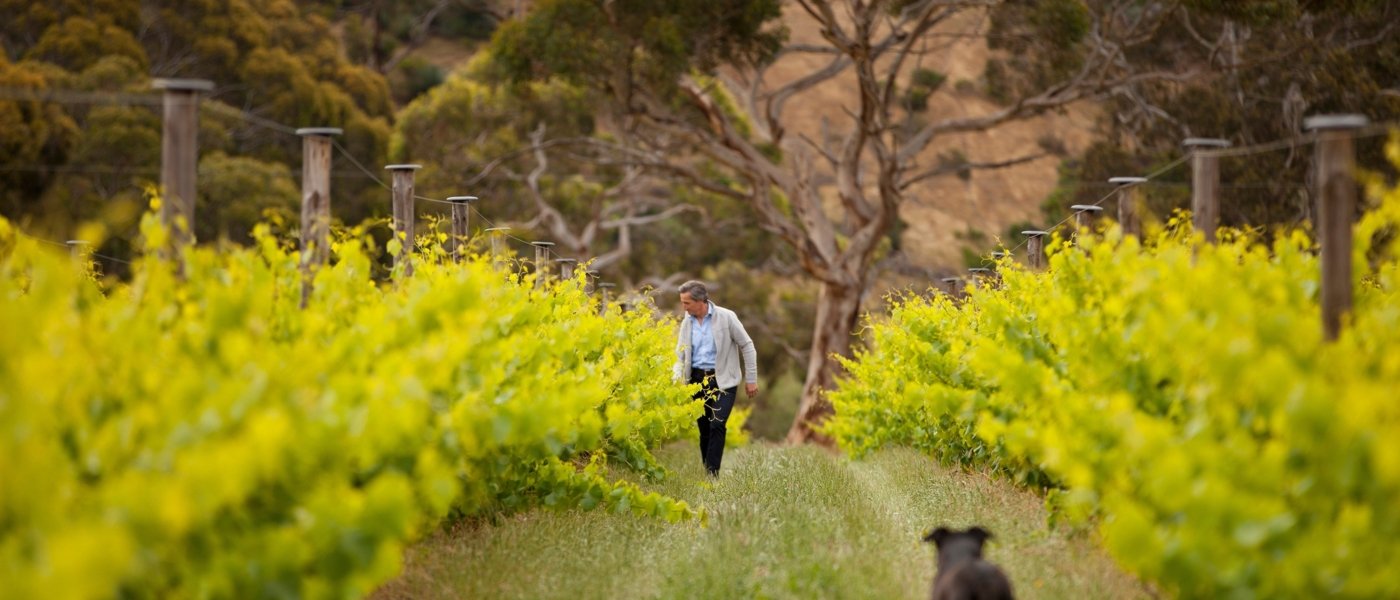 The Islander Estate Vineyards
