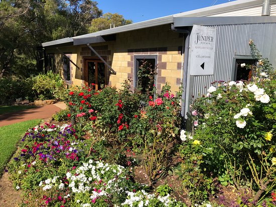 Juniper Margaret River
