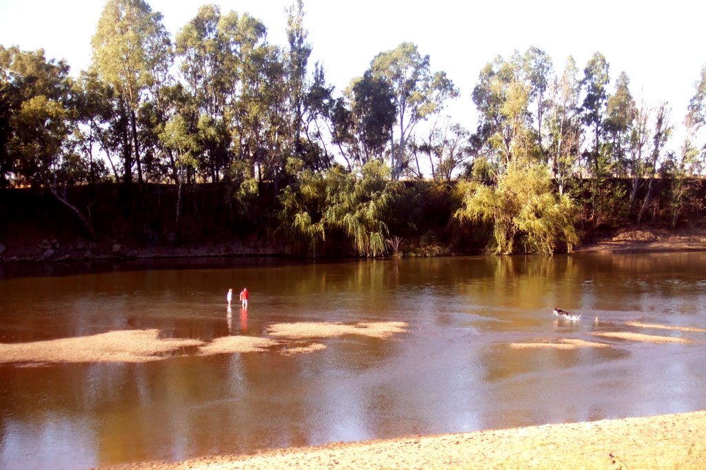 Wagga Beach