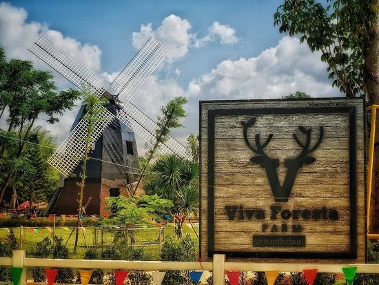 Outdoor Pictures 1
