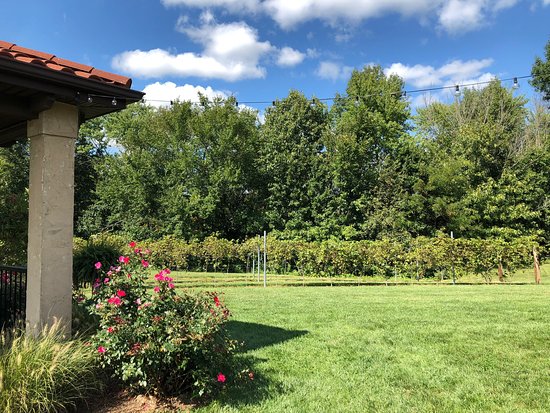 Tuscan Hills Winery