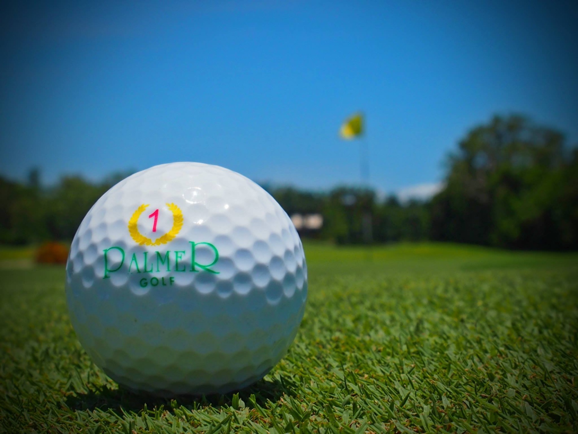 Palmer Sea Reef Golf Course