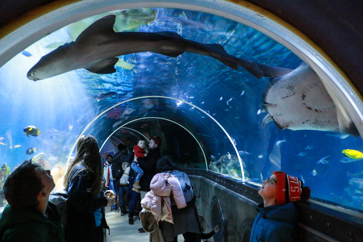 SEA LIFE Konstanz