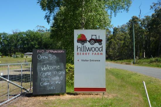 Hillwood Berry Farm & Farmgate