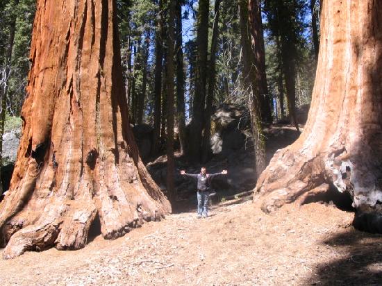 Crescent Meadow Loop